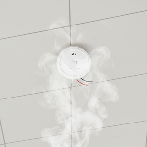 Hub di Sicurezza Antincendio WiFi Anka, Sistema di Allarme Fotoelettrico, Dispositivi Collegabili, Rilevatore di Incendio Domestico - Product Image 1