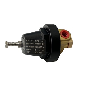 นิวแมนนี่ 02250046-568 วาล์วลดแรงดันโลหะ - Product Image 3