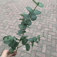 A-082 Veelgebruikte Eucalyptus tak plant bloemstuk enkele kunstmatige eucalyptus bladeren tak steel