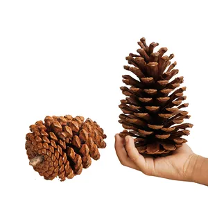 Grosir Pabrik Pinecone alami kualitas tinggi untuk hiasan Natal properti corong pinus Dekorasi liontin