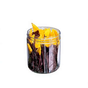 Ready to Eat 250g 3.5oz Tropical <b>Chocolate</b> Dipped Mango Soft Dried Mango Sweet Chewy Premium Fruit Snack Vietnam Manufacturer - Product Image 1