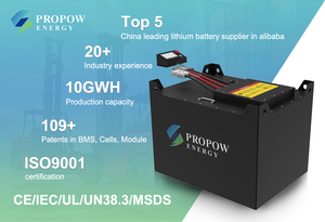 プロポウ24V 36V 48V 72V 80V高出力リチウムフォークリフト電池48V 560Ah - Product Image 5