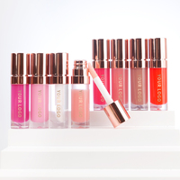 2025new Design Veganistische Lip Olie Fruit Smaak Hydraterende Make-Up Private Label Vloeibare Lippenbalsem Boter Gloss Lippenstift Lip Olie No Moq