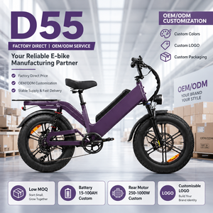 Bicicleta Eléctrica de Carga D55 al por Mayor de Fábrica, Bicicleta Eléctrica de Reparto con Motor de 100W-750W y Batería Personalizada - Product Image 1