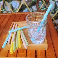 Pailles Boba Smoothie réutilisables de 12mm Accessoires de boisson Jumbo écologiques pour smoothies