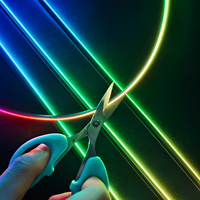 Lumière ambiante RGB pour voiture OEM ODM avec résistance intégrée, fil résistant au feu, matériau ignifuge, éclairage intérieur de voiture