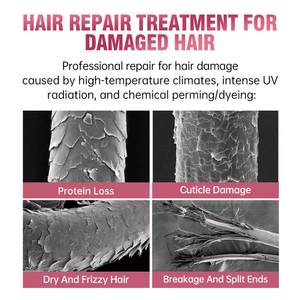 Sampo & kondisioner parfum Label pribadi tahan lama Set Rames mengeriting untuk rambut halus halus halus dengan kerusakan perbaikan wangi - Product Image 5