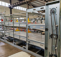 Cage à batterie automatique galvanisée à chaud pour poulets de chair, équipement complet de volaille pour ferme avicole commerciale