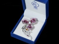 Perhiasan Wangfu S925 Perak Sterling Moissanite Cubic Zirconia Bros Bunga Perhiasan Wanita untuk Pesta Pemasok Grosir Perhiasan Berkualitas