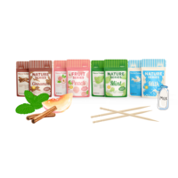 Boîte de cure-dents aromatisés à la menthe infusée au parfum de bois de bouleau avec fermeture éclair, lot de 4, bonbons à la cannelle pour arrêter de fumer, à mâcher au goût bourbon
