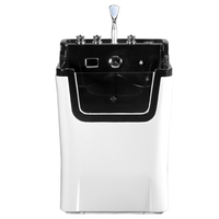 Toilettage de chien en plastique électrique SPA douche baignoire canine chat hydrothérapie lavage baignoire animalerie Salon ozone thérapie baignoires