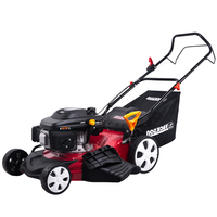 Tondeuse à gazon tout-terrain agricole haute puissance à moteur essence CE EPA 20 pouces 4 temps, support OEM ODM