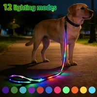 Accessoires pour animaux de compagnie, chien, chat, laisse lumineuse, RGB, luminescente, rechargeable par USB, laisse LED pour chien avec lumière pour la marche nocturne