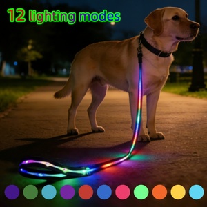 Correa Luminosa para Mascotas, Perros y Gatos, con Luz LED RGB, Recargable por USB, para Paseos Nocturnos - Product Image 1