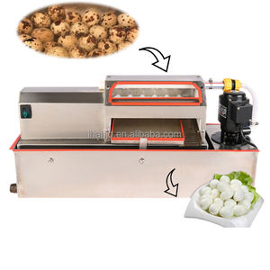Máquina Peladora de Huevos de Codorniz Automática Industrial, Removedor de Cáscaras de Acero Inoxidable, Alta Productividad, Baja Tasa de Daños, Fácil <span class=keywords><strong>Limpieza</strong></span> - Product Image 1