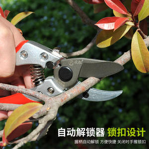 Sécatrices de jardin taïwanaises 200 mm, lame en acier SK5, poignée rouge en alliage de zinc - Product Image 4