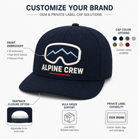 Gorra de béisbol unisex de algodón de sarga de 6 paneles con visera curva para pedidos al por mayor, con bordado de gafas de esquí, paquete para compradores de estaciones de nieve, logotipo personalizado