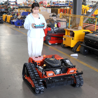 Cortadoras de Césped Robóticas de Alta Calidad con Control Remoto, Certificadas por la EPA Euro5, para Operaciones Comerciales
