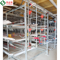 Cages pour poulets de chair de type H, cages automatiques pour poulets de chair, équipement d'élevage avicole automatique, cage d'alimentation automatique pour poulets