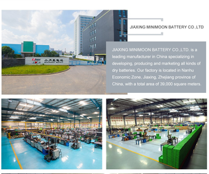 NICOME <span class=keywords><strong>R20</strong></span> 아연 탄소 원통형 배터리 장난감 전동 공구 소비자 전자 제품 ROHS 인증 하이 퀄리티 헤비 듀티 10Wh - Product Image 6