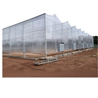 Serre multi-travées Sinok Venlo en polycarbonate, serre en plaques PC, kit de serre à structure en acier galvanisé pour légumes