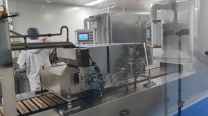 エーグルウェル プライベートラベル ボディビルディングサプリメント ターケステロンサプリメント 500mg アジュガ・ターケステロンカプセル - Product Image 4