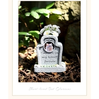 Pierre commémorative pour animaux de compagnie en forme de cœur avec cadre photo, marqueur de tombe pour chien avec citation gravée pour la commémoration en jardin