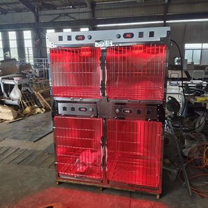 Lámpara de Fisioterapia Infrarroja Osum para Perros y Gatos con LED de Alta Eficiencia y Alimentación por CC para Uso en Hospitales Veterinarios y UCI - Product Image 4