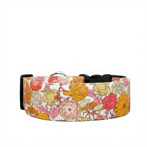 El Collar Cate-Dog - Product Image 1