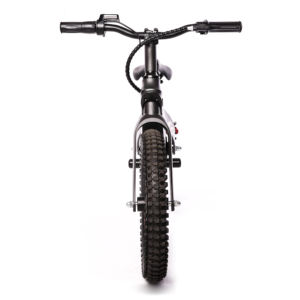 Vente chaude 250W vélo d'équilibre électrique <span class=keywords><strong>tout</strong></span> <span class=keywords><strong>Terrain</strong></span> 3 Modes de vitesse vélo électrique à gros pneus pour enfants avec fourche en alliage de magnésium - Product Image 2