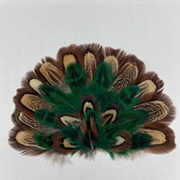 Plumes pour la décoration des chapeaux Fedora, accessoires de chapeau naturels assortis