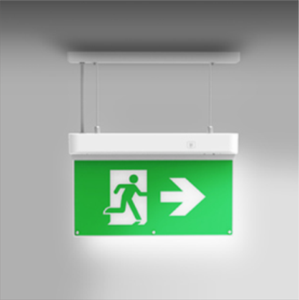 Venta caliente CE IP20 220V LED Señal de salida Directo de fábrica 30M Iluminación DE EMERGENCIA Oriente Medio - Product Image 3