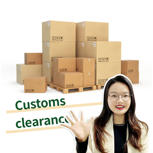 Servicio de Envío puerta a puerta desde China a Trípoli, <span class=keywords><strong>Libia</strong></span> y Tanzania, agente de carga y logística DDP Air Express - Product Image 5