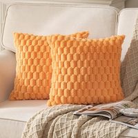Vente en gros de housses de coussin moelleuses en peluche Housses de coussin d'intérieur en fausse fourrure de velours et de laine Housses de coussin à texture de dos de tortue