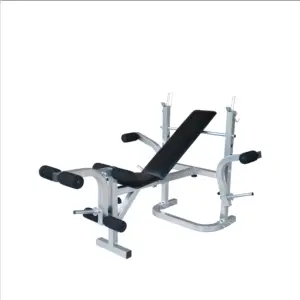 Professional Commercial Workout Gym Weight Bench Sports Luxury Adjustable Flat Bench