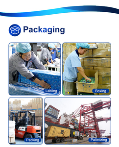 Kein Klettern an der Wand Schwimmbad Staubsauger Roboter Automatischer Akku-Pool roboter - Product Image 3