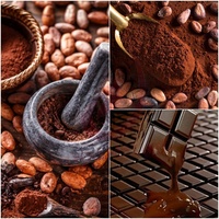 Machine à moudre les grains de café de haute qualité JUYOU, machine à concher le chocolat, mélangeur électrique, broyeur de fèves de cacao