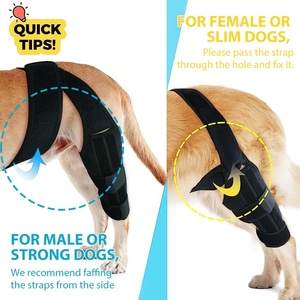 Rodillera de pierna de perro canina para displasia de cadera delantera y trasera para lesiones de codo y estabilidad de pérdida de artritis - Product Image 5