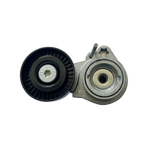 Высококачественный новый регулируемый натяжной ролик ZQ20033 11287549589 с <span class=keywords><strong>2</strong></span>-летней гарантией на замену - Product Image 1