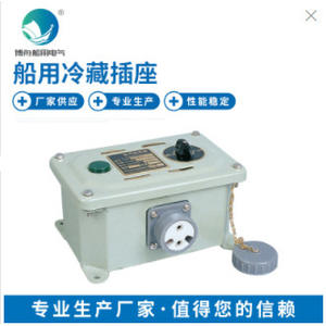 Boîte à prises marines à emboîtement CZX220-24FC1 pour conteneur frigorifique avec prises et fiches étanches, directement du fabricant - Product Image 3