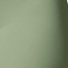 สีเขียว Z806ST01