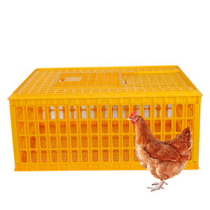 ไก่เล้า/สัตว์ปีกกรงขนส่งราคา/พลาสติกไก่ลัง - Product Image 1