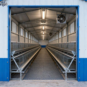 Structure en acier léger préfabriquée de conception industrielle moderne pour abri d'élevage, abri pour bovins, abri pour moutons, poulailler, gymnase, supermarché - Product Image 4