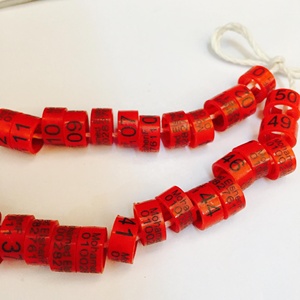 12MM <span class=keywords><strong>paloma</strong></span> <span class=keywords><strong>mensajera</strong></span> de plástico de anillo de cerrado pierna - Product Image 5