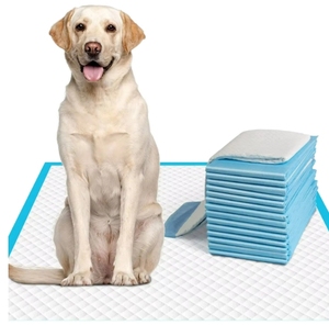 Pañal de moda para mascotas, almohadilla de entrenamiento para Cachorros para perros y <span class=keywords><strong>gatos</strong></span>, suministros para mascotas de entrenamiento - Product Image 2
