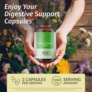 Capsules de graines de <span class=keywords><strong>Mimosa</strong></span> Pudica en marque privée OEM, soutien immunitaire à base de plantes, complément alimentaire de qualité alimentaire pour adultes - Product Image 3
