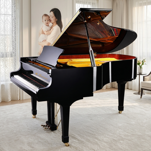 Piano à queue acoustique professionnel Heinemann 88 touches, fabriqué à la main pour villa, design WGP-186 qui rehausse l'attrait visuel - Product Image 1