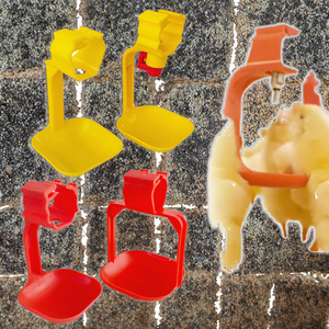 Gabbie Automatiche Tipo H per Allevamento Polli da Carne con Mangiatoia e Abbeveratoio, Nuovo Design, Durata 15-20 Anni, Garanzia 1 Anno - Product Image 6