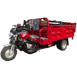 Motocicleta de Tres Ruedas a Gasolina, Vehículo Agrícola de Tres Ruedas, Vehículo de Carga Doméstico de Tres Ruedas - Product Image 2