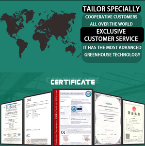 Ventes d'<span class=keywords><strong>occasion</strong></span> sur mesure en usine et serres agricoles à travées multiples avec structures en polycarbonate - Product Image 6